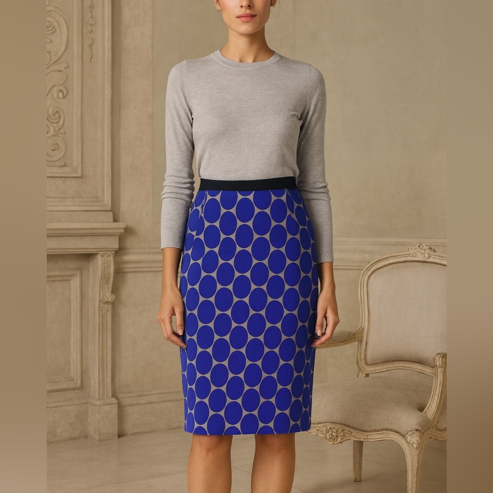MARNI at H&M Pencil Skirt Size 6